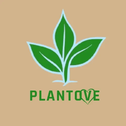 Plantove.com